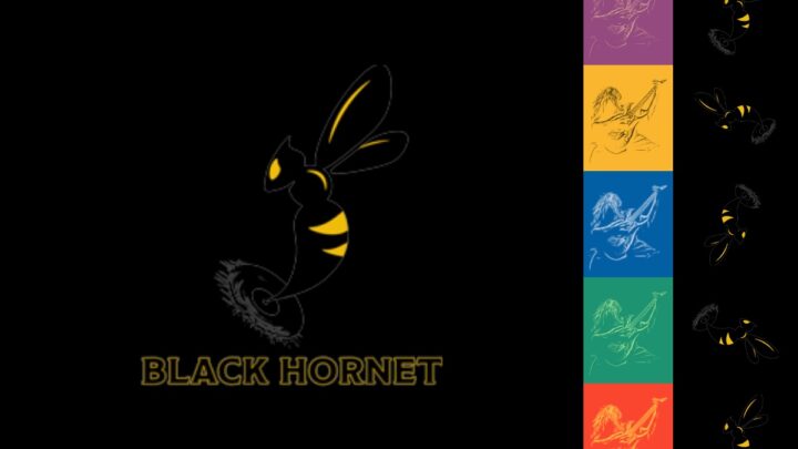 Black Hornet Radio - nová hudební hardrocková stanice získala licenci k digitálnímu vysílání v DAB+